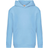 Fruit of the Loom Kid's Premium Hooded Sweatshirt - Sky Blue (62-037-0YT)