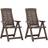 vidaXL 315832 2-pack Havestol, Positionsstol
