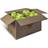 Wilson Tennis balls Triniti 72 pcs - 72st