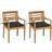 vidaXL 3062150 2-pack Havestol