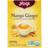 Yogi Mango Ginger 32g 16st