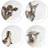 Wrendale Designs Countryside Animals Assiett 16.5cm 4st