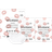 Starskin Dreamkiss Plumping & Hydrating Bio-Cellulose Lip Mask 2-pack