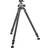 Gitzo GT3533LS + GH4383LR