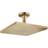 Hansgrohe Raindance E (26250140)