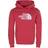 The North Face Drew Peak Pullover Hoodie - Rococco Red