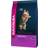 Eukanuba Kitten Healthy Start 2kg