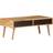 vidaXL 322666 Coffee Table 50x100cm