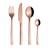 aida Raw Rosegold Bestickset 16st
