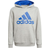 Adidas Kid's Big Logo Hoody - Medium Grey Heather/Bold Blue (H35858)