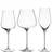 Leonardo Brunelli Glas 12st