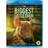 The Biggest Little Farm (Blu-Ray)