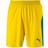 Puma Liga Shorts Men - Yellow/Blue