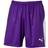 Puma Liga Shorts Men - Purple/White