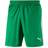 Puma Liga Shorts Men - Green/White