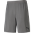 Puma teamFINAL 21 Knit Shorts Men - Steel Gray