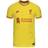 NIKE Men's Liverpool FC Match Third Jersey 2021/22