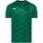 Puma teamFINAL 21 Graphic Jersey Men - Green/Green