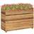 vidaXL Raised Plant Box Plantekasse