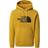 The North Face Drew Peak Hoodie - Arrowwood Yellow