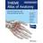 General Anatomy and Musculoskeletal System (THIEME Atlas of Anatomy), Latin Nomenclature (Inbunden)