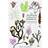 The Seaweed Collector's Handbook (Paperback)