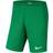 NIKE Park III Shorts Men - Pine Green/White