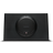 Rockford Fosgate P300-10T