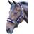 Shires Polo Fleece Lined Headcollar