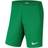 Nike Park III Shorts Kids - Pine Green /White