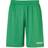 Uhlsport Club Shorts Unisex - Green/White