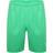 Puma Kid's Liga Shorts - Bright Green/White