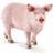 Schleich Pig