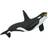 Safari Killer Whale 275129