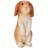 Mojo Animal Planet Hare, Siddende