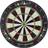 Catdart Champion Dartskive