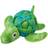 Kong Sea Shells Turtle M/L