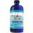 Nordic Naturals Children's DHA Strawberry 16 fl oz