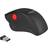 DeLock Ergonomic USB Mouse - wireless