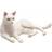 Mojo Animal Planet Kat Liggende, Hvid