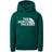 The North Face Youth Drew Peak Hoodie - Night Green (NF0A33H4)