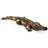 Green Rubber Toys Crocodile 43cm