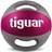 Tiguar Medicine Ball with handles purple 5 kg (TI-PLU005)
