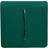 Trendi 1 Gang 2 Way, 10 Amp Light Switch Dark Green