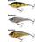 Westin Swim 10 cm 32 g Sinking Real Perch