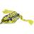 Ifish Frog