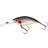 Westin Buzz Bite 60 Mm 10g One Size Steel Sardine