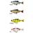 Savage Gear 3d Roach Pulsetail 100 Mm 17.5g 2 Units One Size Roach