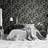 Sublime Japan Svart/Gron