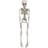 Joker Skelet med lys 50 cm